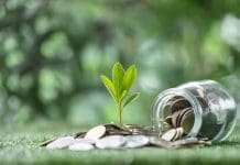 Framework provider delivers over £9m in indicative social value Coin symbolizes growth of investment, as money nurtures a green plant, representing the path to financial success in business and the broader economy. coin, growth, investment, money, green, plant, representing indicative social value