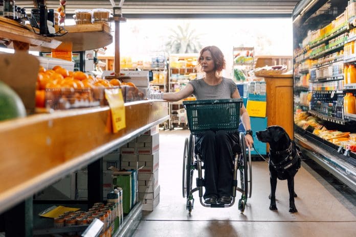 Woman on wheelchair goes shopping with her Service Dog Woman on wheelchair and her service dog go shopping at local grocery store, representing some of the obstacles faced by disabled people