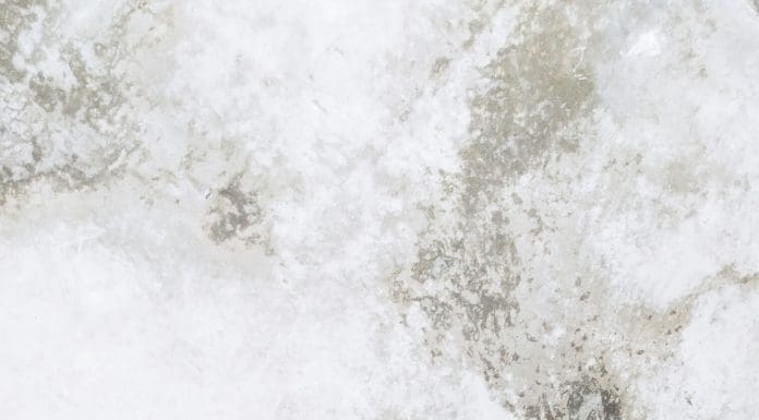 An image of black mould on a white ceiling, representing Awaab's Law