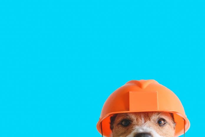 BCM Agency explores how evidence-led thinking turns uncertainty into advantage for construction firms looking to upgrade marketing strategies