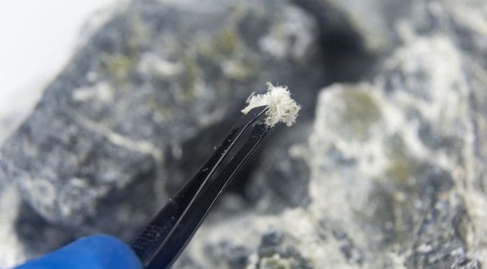 A macro photograph of fibers of the mineral chrysotile asbestos taken from host rock with tweezers
