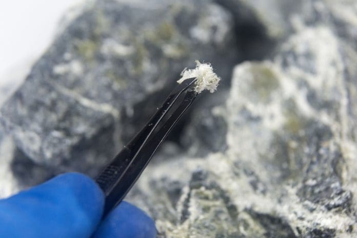 A macro photograph of fibers of the mineral chrysotile asbestos taken from host rock with tweezers