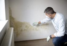 How digital tools can help social landlords meet Awaab’s Law Man with mouth nose mask and blue shirt and gloves n front of white wall with mold