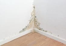 Property Health App: Your shield against damp & mould A corner of a room is visibly damaged by mold, with dark spots and discoloration on the wall and floor. This indicates poor ventilation and possible water damage in the area, representing cornerstone's new property health app