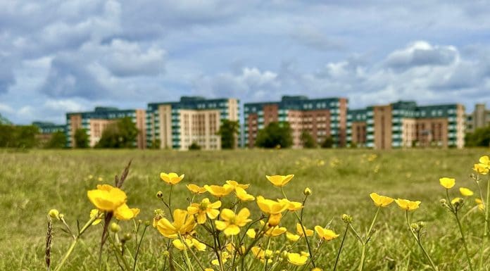 The Nature Restoration Fund will seek to repair natural environments