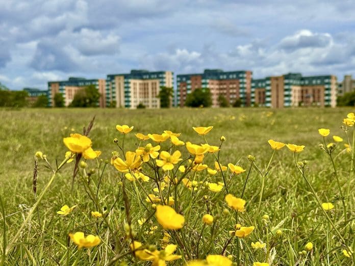 Nature Restoration Fund established to improve environmental outcomes The Nature Restoration Fund will seek to repair natural environments