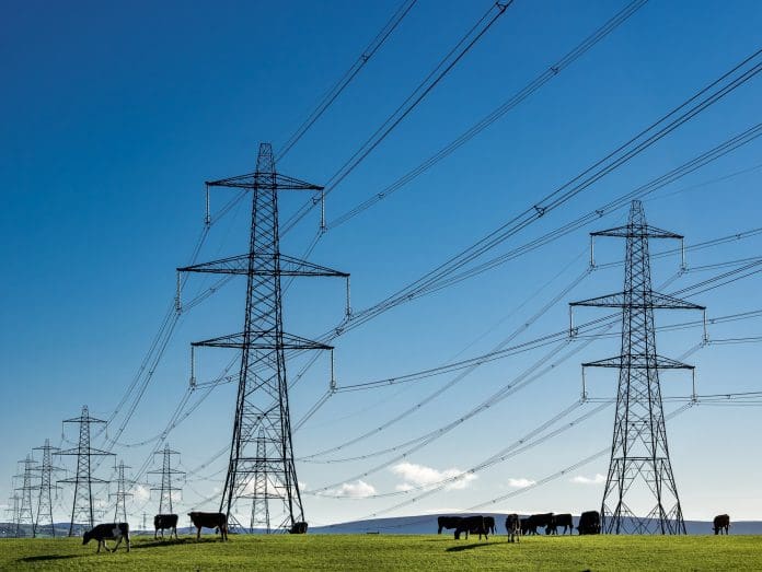 Electricity Pylons and field of cows with blue sky, representing united infrastructure acquisition