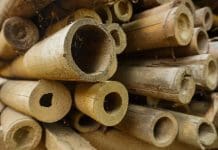 New bamboo structure design manual published by Institution of Structural Engineers A new design manual about permanent bamboo structures has been published by the Institution of Structural Engineers (IStructE)