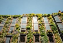BREEAM Awards 2026 now open for entries A building facade with a vertical garden, representing projects that could be nominated as BREEAM Awards 2026 entries