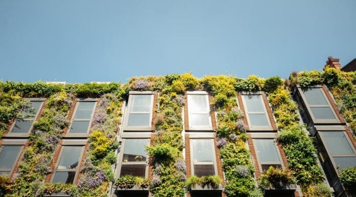 A building facade with a vertical garden, representing projects that could be nominated as BREEAM Awards 2026 entries