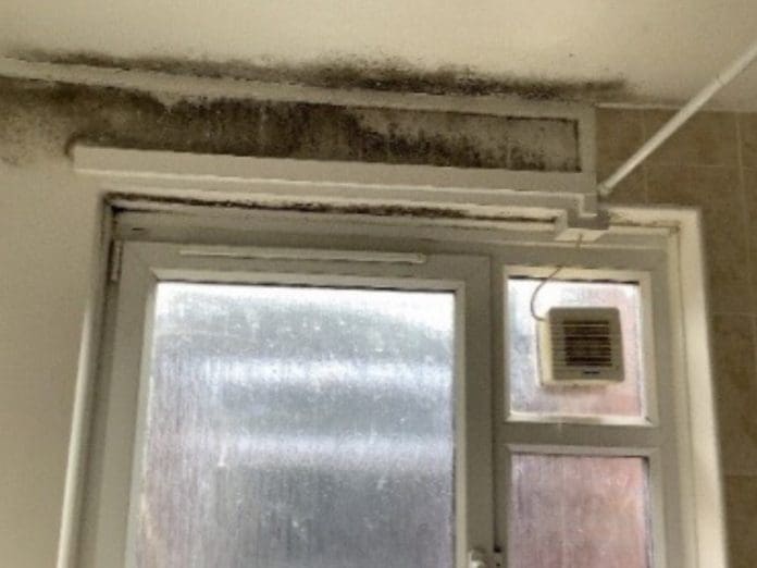 Healthy buildings: Why is damp, condensation and mould still an issue, and are we ready for Awaab’s Law?