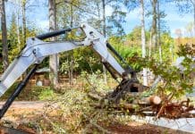Why is construction chasing net-zero while ignoring natural carbon stores? Why is construction chasing net-zero while ignoring natural carbon stores?