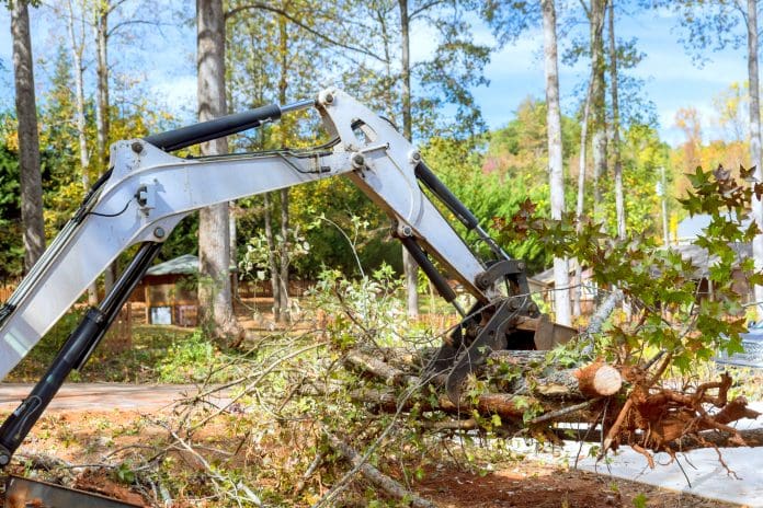 Skid steer tractor aids in a tree clearing for housing complex construction during landscaping Why is construction chasing net-zero while ignoring natural carbon stores?