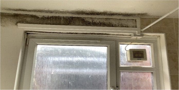 Picture 2 Awaab's law and damp and mould are still key issues in homes