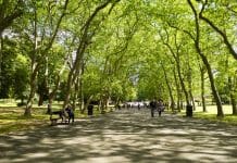 Crystal Palace National Sports Centre plans approved The Crystal Palace National Sports Centre is set to be renovated after more than 60 years