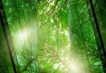LCBI extends its pan-European low-carbon certification scheme to logistics assets LCBI extends its pan-European low-carbon certification scheme to logistics assets