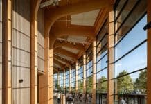 New white paper advocates for greater use of wood in building design New white paper advocates for greater use of wood in building design