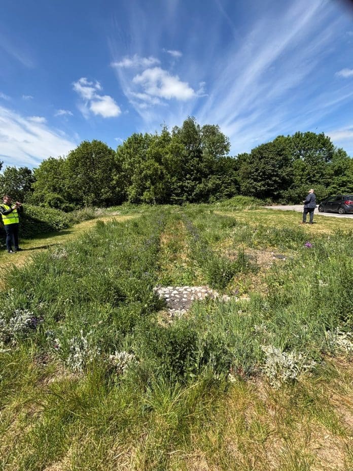 Finding the money for SuDS Mansfield drainage basin