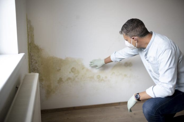 CIOB and CIH publish new damp and mould guidance for social housing The new damp and mould guidance takes recent events into account