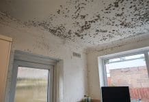 Evidence-based survey findings for damp and mould