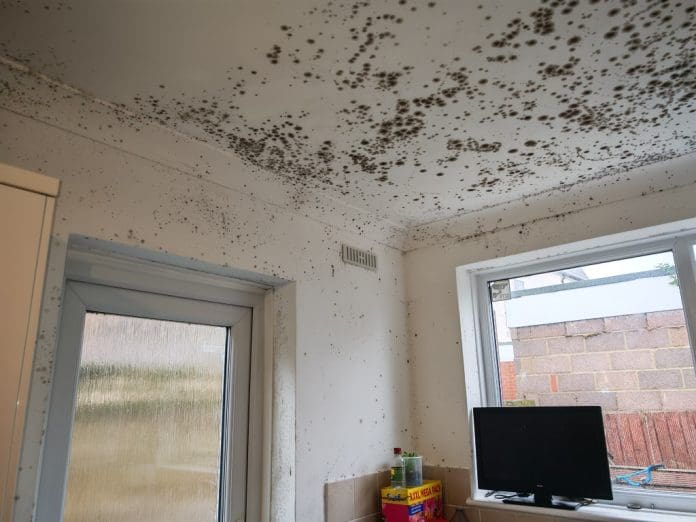 Evidence-based survey findings for damp and mould