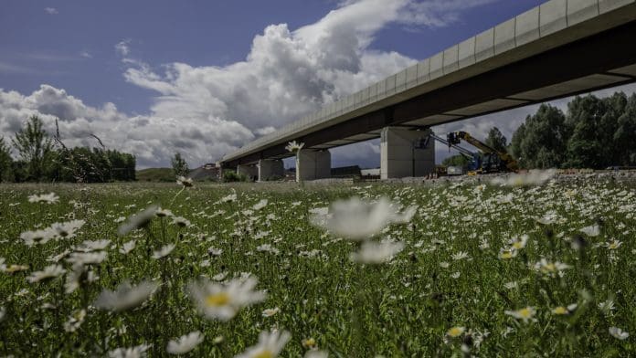 View of the viaduct from the wildflower meadow beneath the structure during the final stages of construction Spring 2026 The HS2 Westbury Viaduct