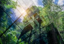 How can sustainability in construction be consistently measured? How can sustainability in construction be consistently measured?