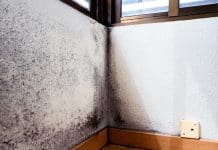 Evidence-based survey findings for damp and mould Evidence-based survey findings for damp and mould