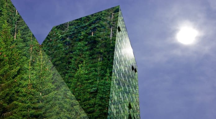 Green, renewable energy in the city: modern building covered with spruce forest. Sustainable energy, pollution and urbanity concept with copy space.